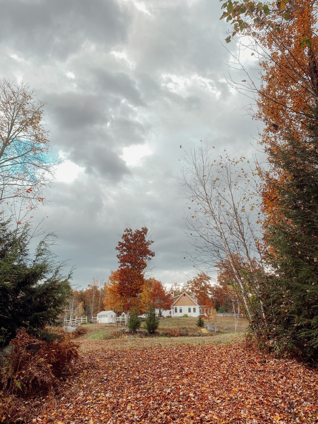 Nine Years in the&nbsp;Country